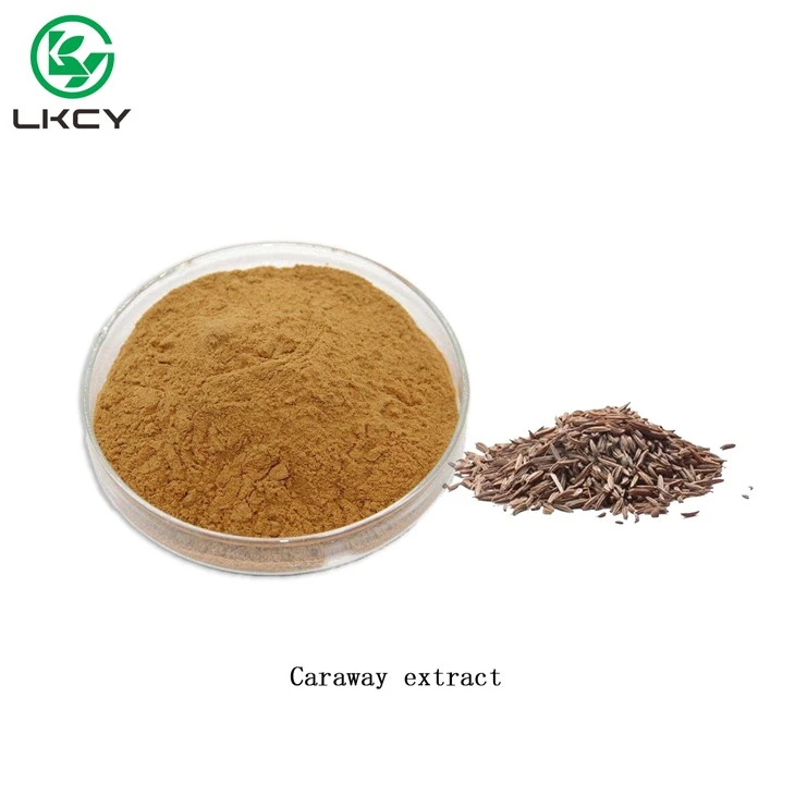 Caraway Extract Powder