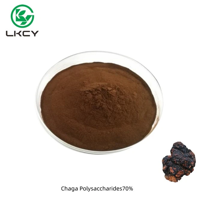 Chaga Polysaccharides70%