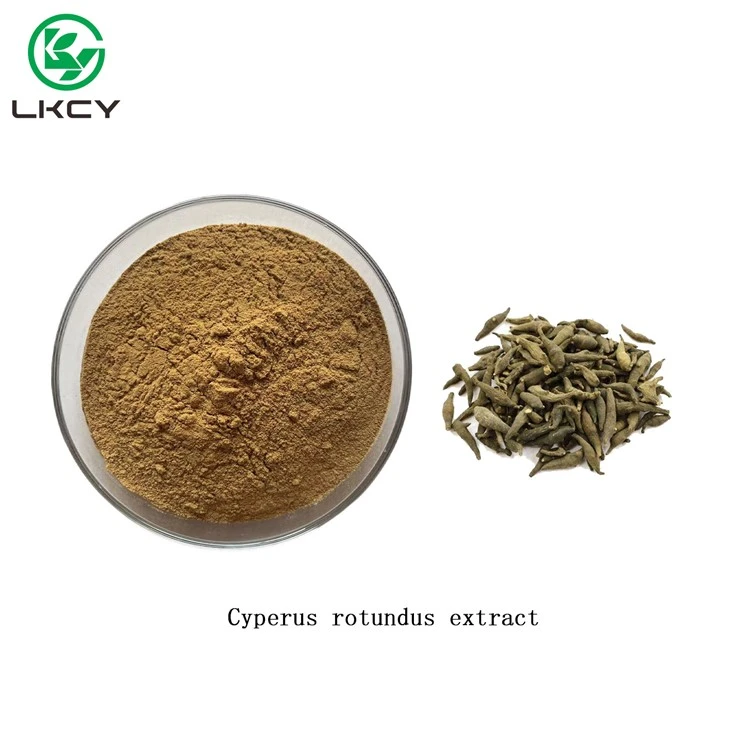 Cyperus Rotundus Extract Powder
