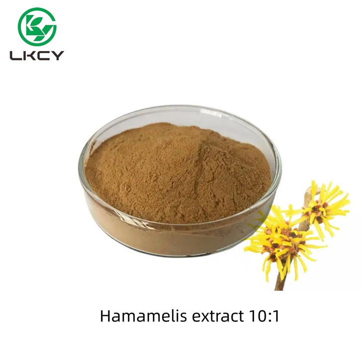 Hamamelis Extract