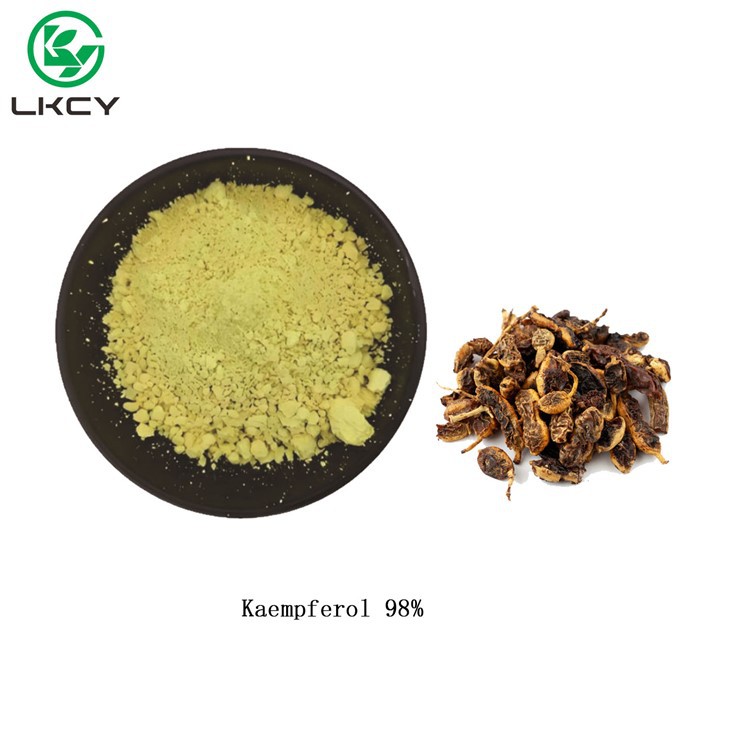 Kaempferol 98%