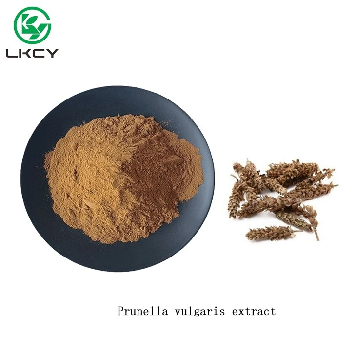 Natural Prunella Vulgaris Extract
