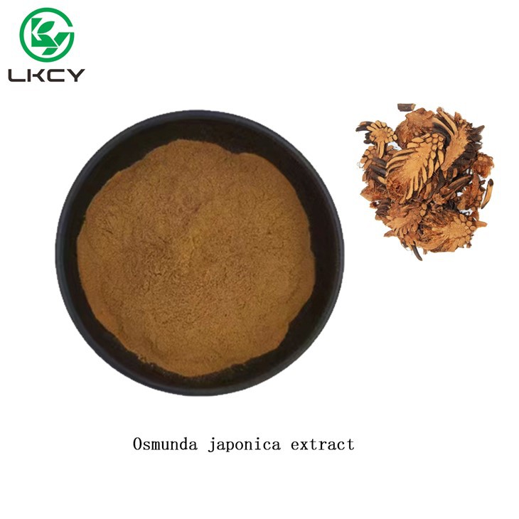 Osmunda Japonica Extract
