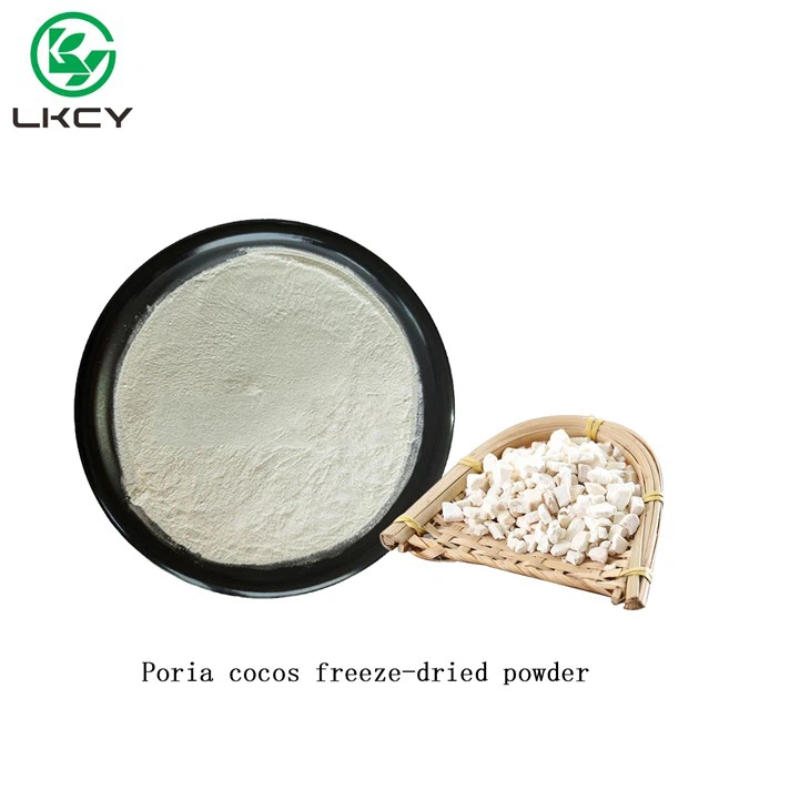Poria Cocos Extract Powder