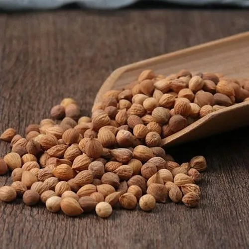 Bushcherry Seed Bushcherry Seed