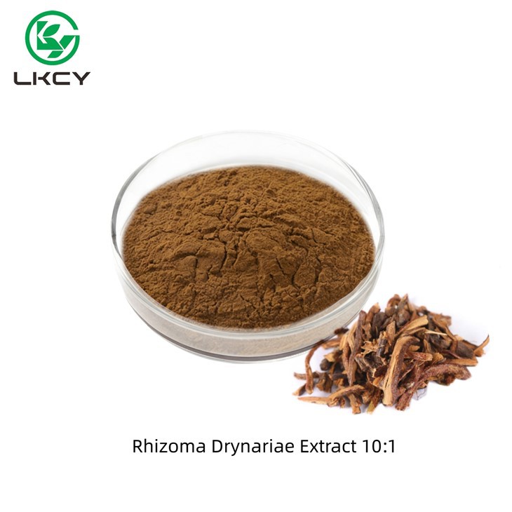 Rhizoma Drynariae Extract