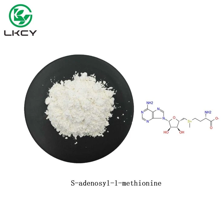 S-adenosyl-l-methionine