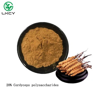 Cordyceps sinensis Extract