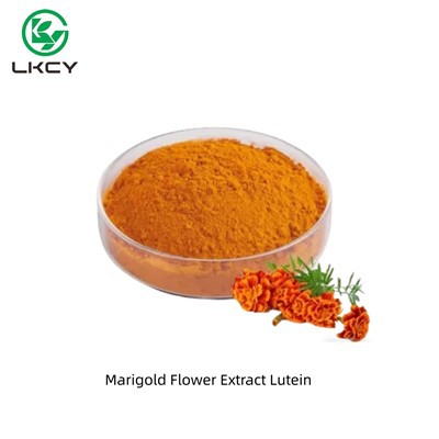 Marigold Flower Extract Lutein