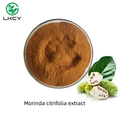 Morinda Citrifolia Extract