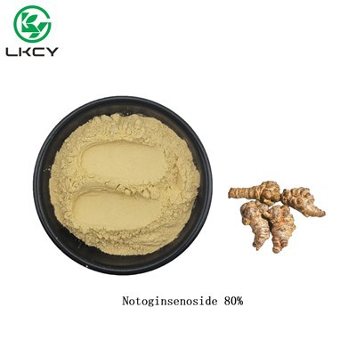 Notoginsenoside 80%