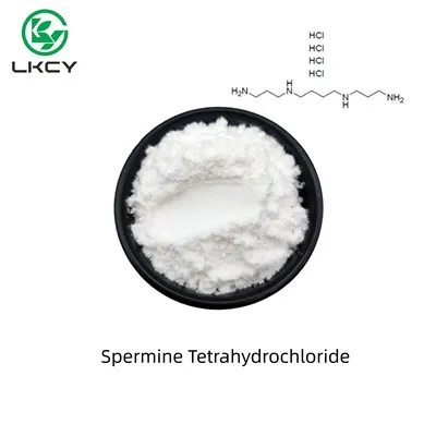 Spermine Tetrahydrochloride
