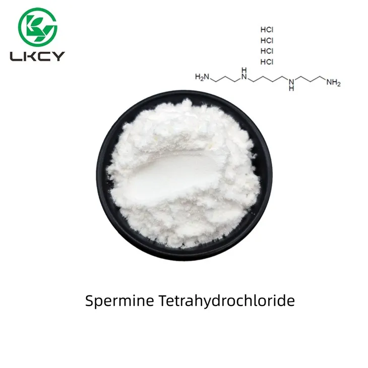 Spermine Tetrahydrochloride